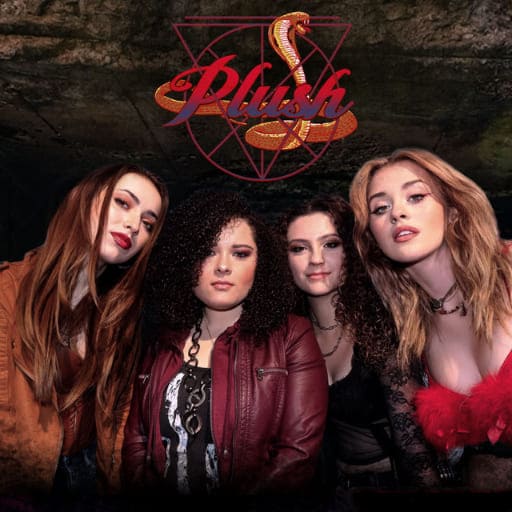 Plush Concerts in Daytona Beach